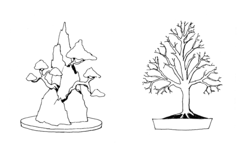 Rock Clinging Style, Bonsai Broom Style Coloring Page